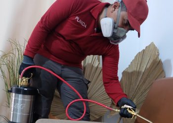 Lindungi Dapur Anda Setelah Sewa Jasa Pembasmi Kutu