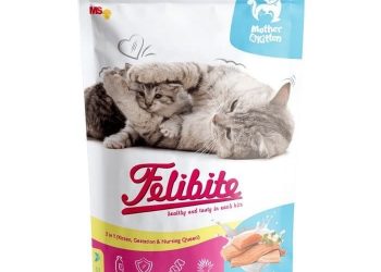 review felibite mother and kitten