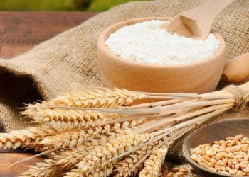 Makanan Berbahan Dasar Tepung Terigu yang Kekinian