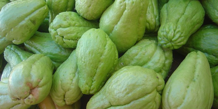 Cara Membuat Keripik Labu Siam yang Enak Beserta Tips dan Manfaatnya
