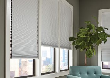 window blinds