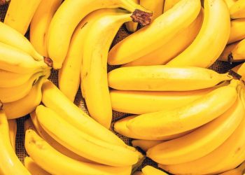 5 Makanan yang Aman Buat Malam Hari, Nggak Bikin Gemuk!