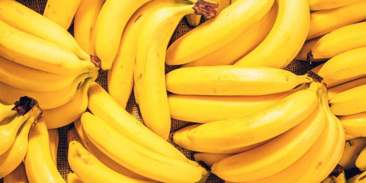 5 Makanan yang Aman Buat Malam Hari, Nggak Bikin Gemuk!