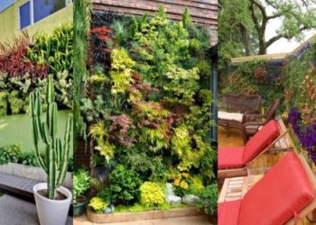 Faktor yang Mempengaruhi Biaya Jasa Pembuatan Taman