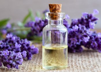 bahan untuk membuat minyak esensial