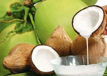 keuntungan-usaha-santan-kelapa