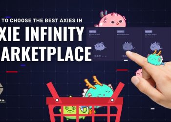 Begini Cara Daftar dan Menggunakan Platform Axie Marketplace