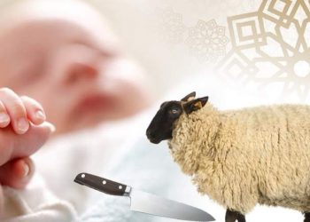 Tentang Paket Aqiqah: Apa yang Perlu Diketahui?