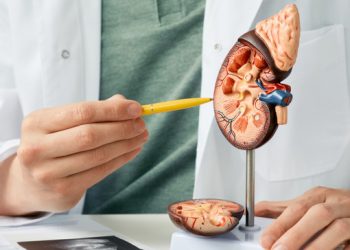 Penyebab Orang Terkena Batu Ginjal