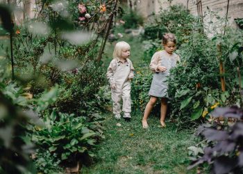 Taman Kota Sebagai Tempat Bermain yang Asyik Bagi Anak-Anak