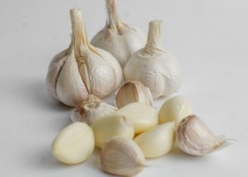 Mengenal Berbagai Olahan Bawang Putih dan Manfaatnya bagi Kesehatan
