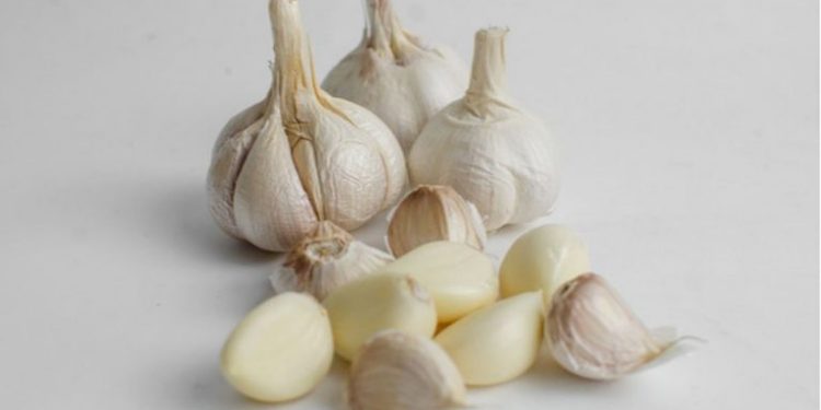 Mengenal Berbagai Olahan Bawang Putih dan Manfaatnya bagi Kesehatan