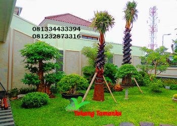 Tips Merawat Tanaman Hias Dari Pemula Hingga Mahir