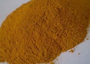 Serbuk Kuning: Rahasia Keajaiban di Balik Warna Alam