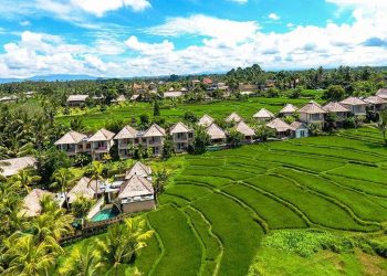 8+ Cafe di Ubud View Sawah yang Mengagumkan