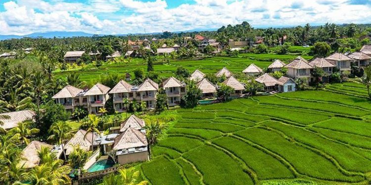 8+ Cafe di Ubud View Sawah yang Mengagumkan