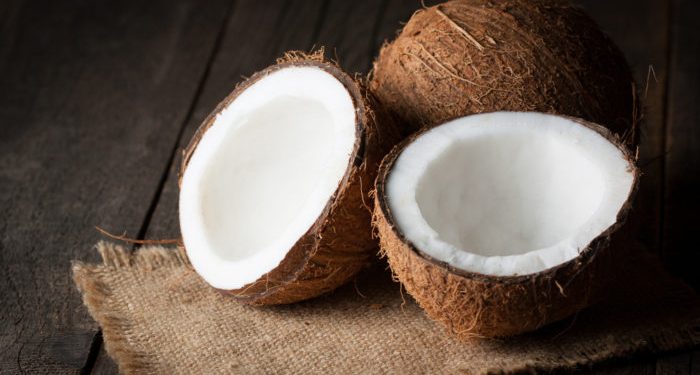 peluang usaha kelapa tua