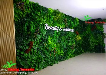 tukang taman vertikal garden