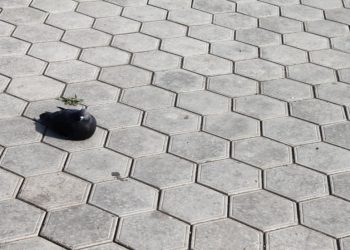 bisnis paving block