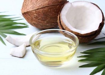 peluang bisnis minyak kelapa