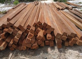 Kayu Ulin: Simbol Kekuatan dan Keindahan Alam Nusantara