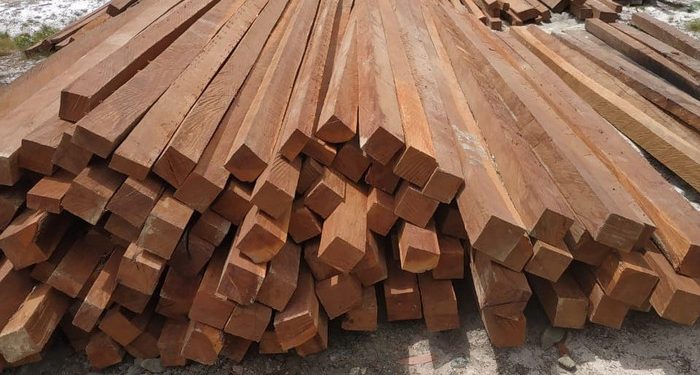 Kayu Ulin: Simbol Kekuatan dan Keindahan Alam Nusantara