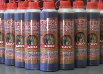 LEM LEO Lem Bata Ringan: Solusi Praktis untuk Konstruksi Rumah Modern