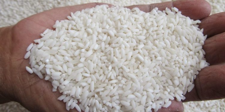 Beras Pulen Pasti Enak? Menelisik Kualitas dan Keunggulannya dalam Memasak