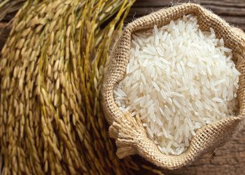 Agen Beras: Apakah Bisa Menjual dengan Harga Murah?