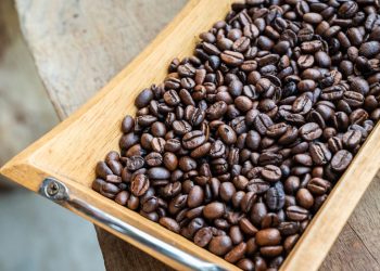 cara menggunakan mesin pengolahan kopi