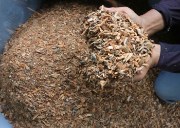 mesin penghancur sampah jadi biomassa