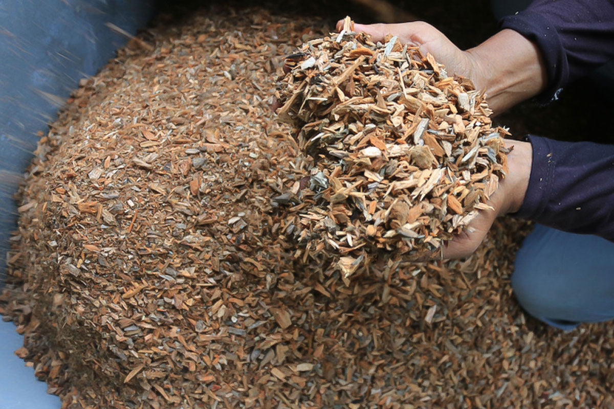 mesin penghancur sampah jadi biomassa