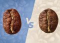 perbedaan biji kopi Robusta dan arabika