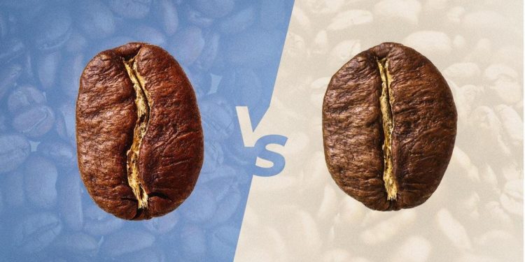 perbedaan biji kopi Robusta dan arabika