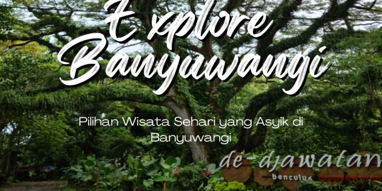 Pilihan Wisata Sehari yang Asyik di Banyuwangi
