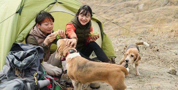 https://hilltopcamplembang.com/tempat-camping-di-lembang-bandung-murah/