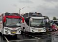 medium bus atau big bus